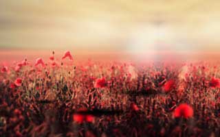 pizza: Its Future and The Revolution Brewing