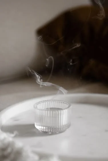 Shop Stock: Revenue Beats, Income Light – What's the Real Story?